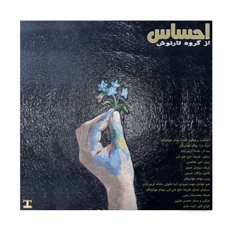 دانلود آهنگ گروه تارنوش احساس
